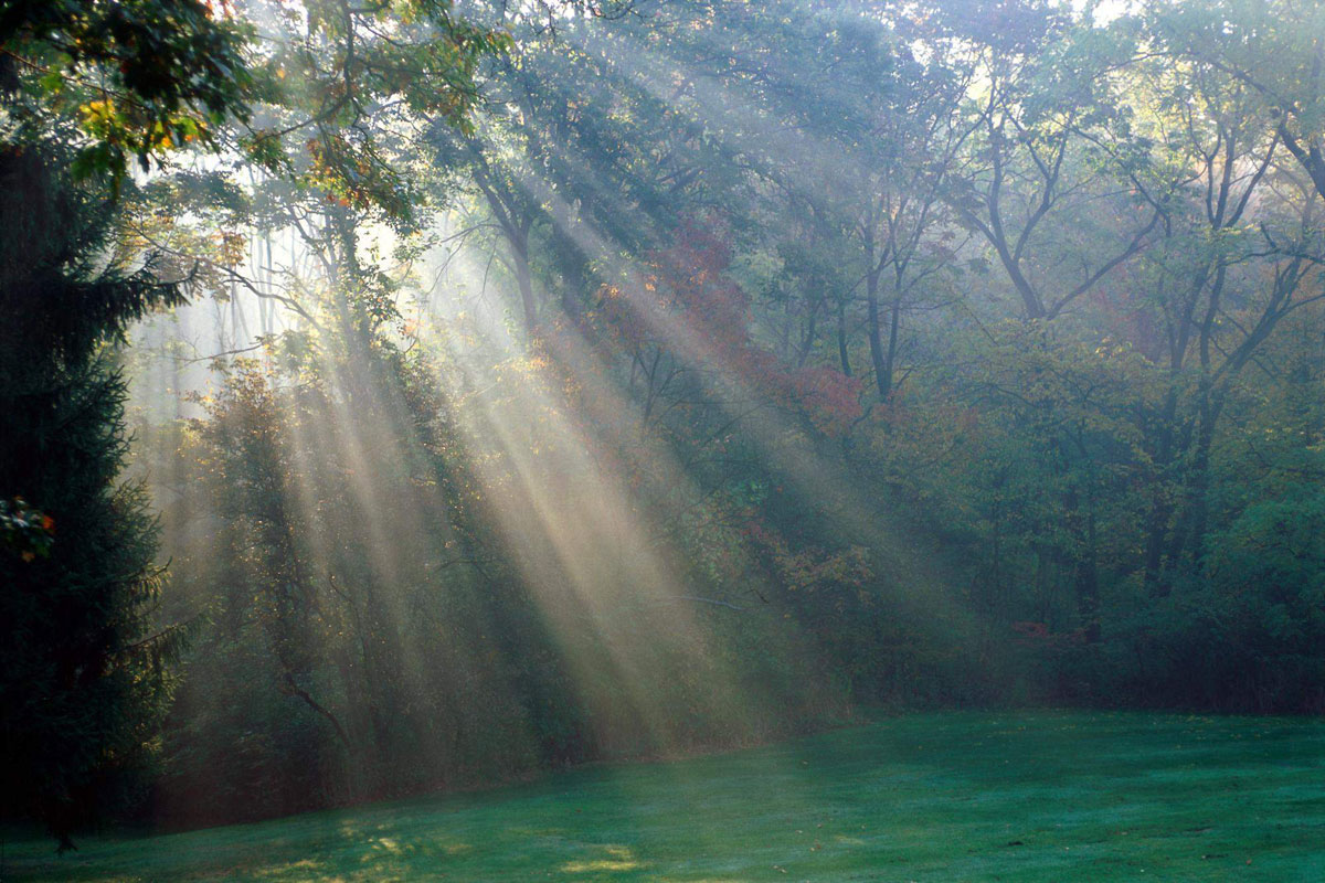 landscape image
