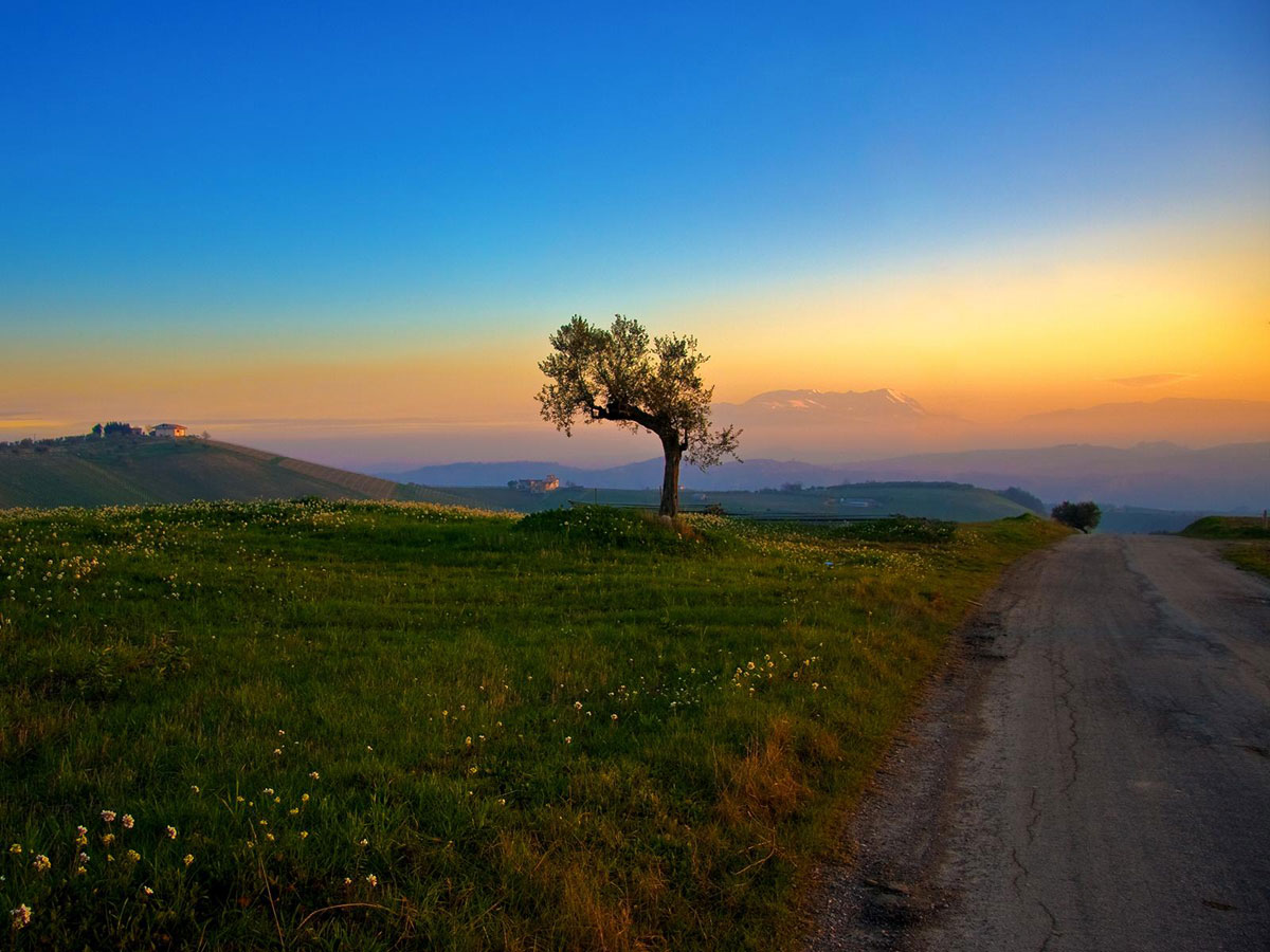 landscape image